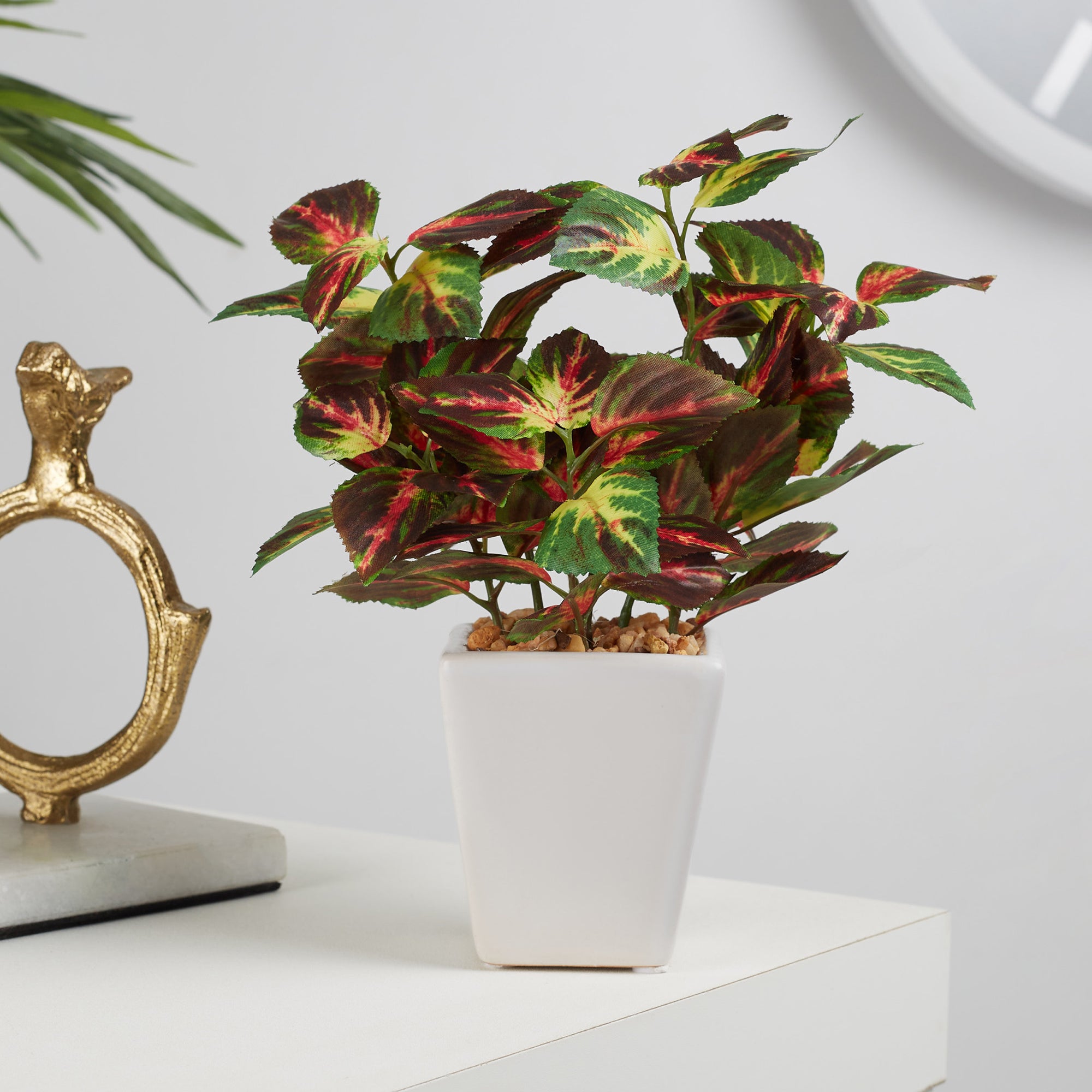 Ilana Faux Coleus Ceramic Potted Plant 19 Cm in Green Colour